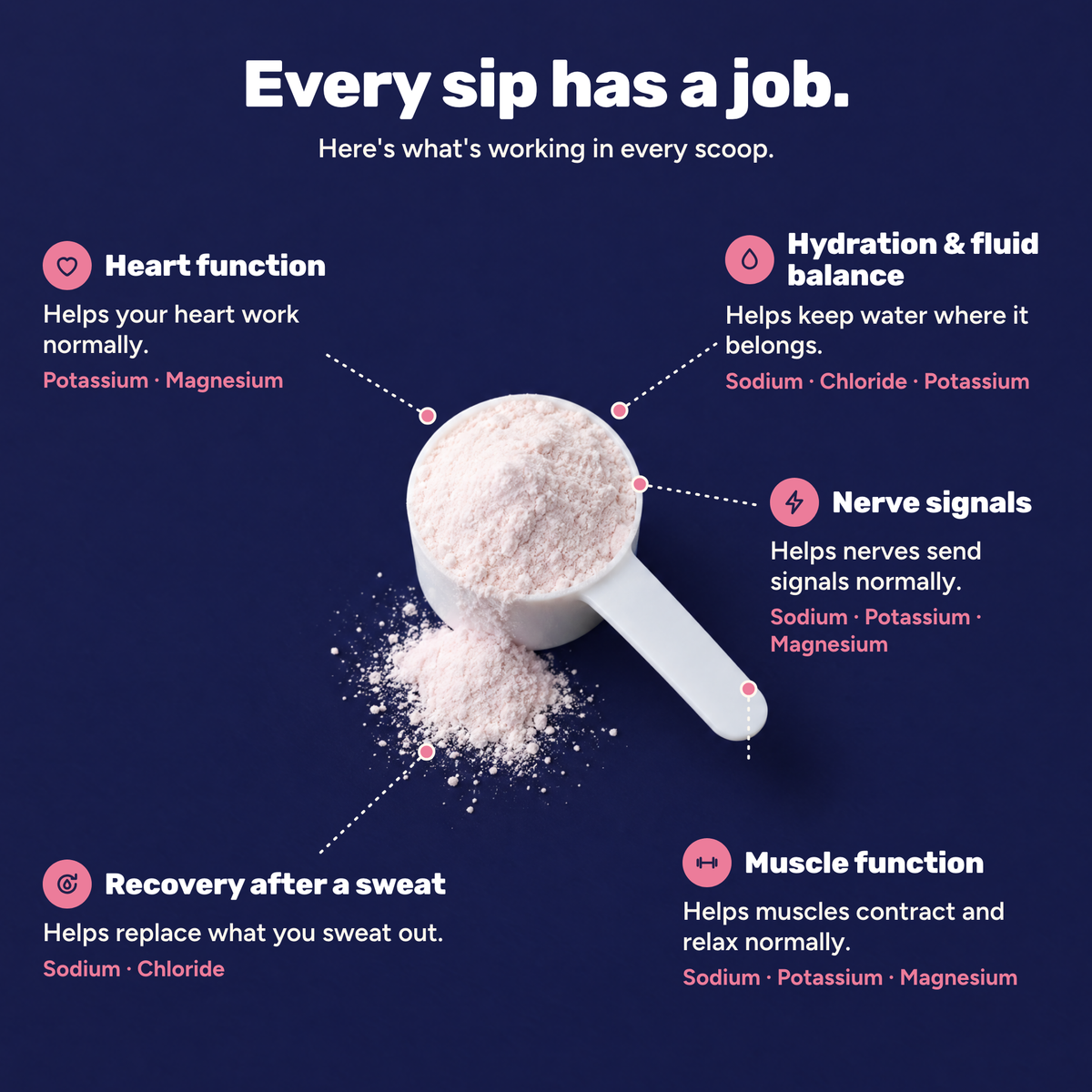 Daily Hydration Electrolyte Powder - Raspberry