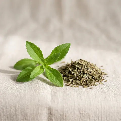 A sprig of stevia leaves next to dried, crumbled leaf