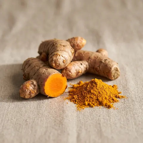 Turmeric root, one piece cut open, next to ground turmeric