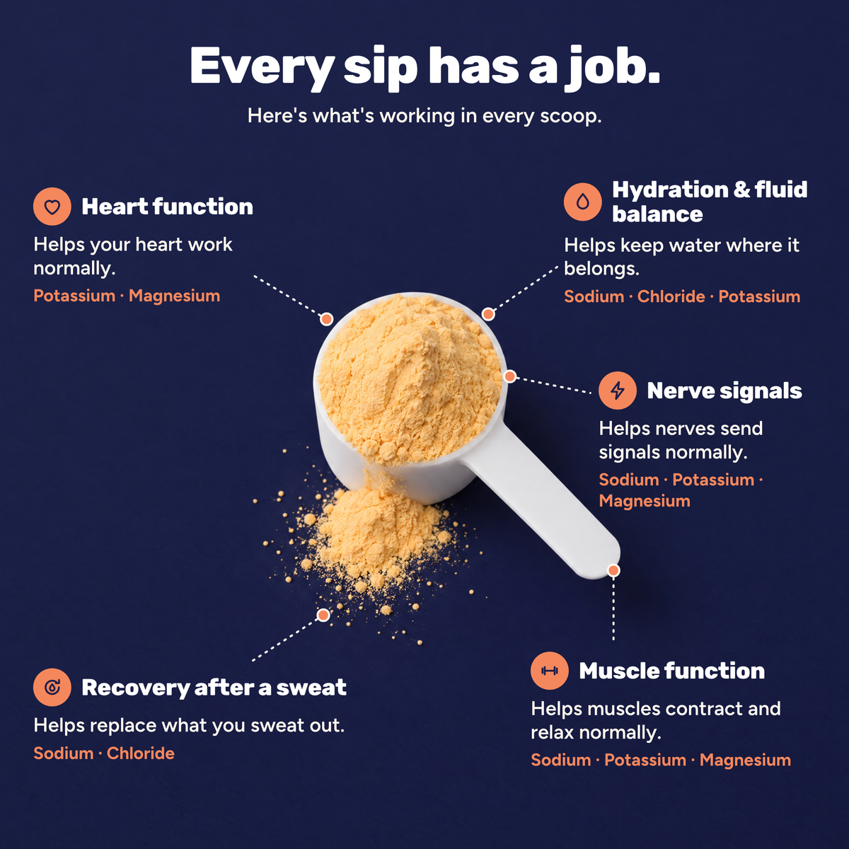 Daily Hydration Electrolyte Powder - Peach